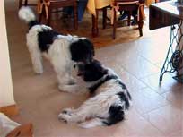 05.09.2008 Besuch bei Mikesch in Schwarzenbek 05.09.2008 Besuch bei Mikesch in Schwarzenbek