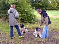 05.09.2008 Besuch bei Mikesch in Schwarzenbek 05.09.2008 Besuch bei Mikesch in Schwarzenbek