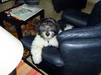 05.09.2008 Besuch bei Mikesch in Schwarzenbek 05.09.2008 Besuch bei Mikesch in Schwarzenbek