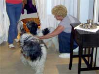 05.09.2008 Besuch bei Mikesch in Schwarzenbek 05.09.2008 Besuch bei Mikesch in Schwarzenbek