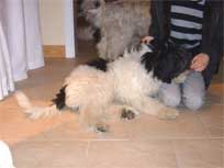 05.09.2008 Besuch bei Mikesch in Schwarzenbek 05.09.2008 Besuch bei Mikesch in Schwarzenbek