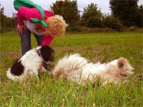 05.09.2008 Besuch bei Mikesch in Schwarzenbek