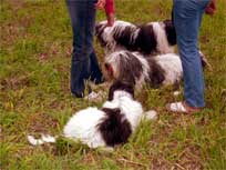 05.09.2008 Besuch bei Mikesch in Schwarzenbek