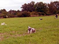 05.09.2008 Besuch bei Mikesch in Schwarzenbek