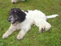 05.09.2008 Besuch bei Mikesch in Schwarzenbek