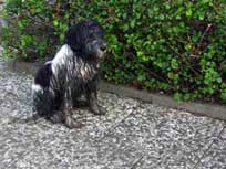 05.09.2008 Besuch bei Mikesch in Schwarzenbek