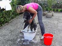 05.09.2008 Besuch bei Mikesch in Schwarzenbek