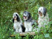 05.09.2008 Besuch bei Mikesch in Schwarzenbek 05.09.2008 Besuch bei Mikesch in Schwarzenbek