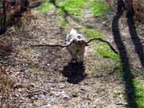 15.04.2007 15.04.2007