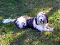 15.04.2007 15.04.2007