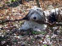 15.04.2007 15.04.2007