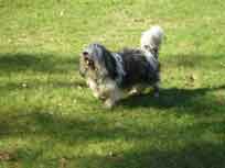 15.04.2007 15.04.2007