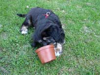 ca. 20. April 2010 ca. 20. April 2010