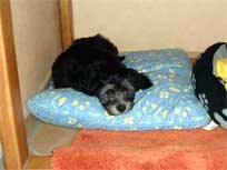 ca. 20. April 2010 ca. 20. April 2010