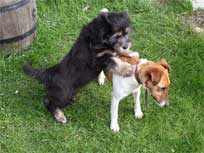 ca. 20. April 2010 ca. 20. April 2010