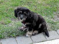 ca. 20. April 2010 ca. 20. April 2010