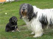 Osterwochenende 2010 Osterwochenende 2010