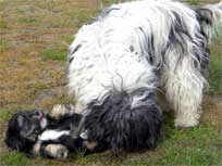 Osterwochenende 2010 Osterwochenende 2010