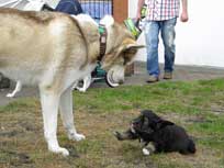 Osterwochenende 2010 Osterwochenende 2010