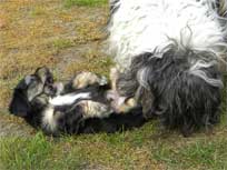 Osterwochenende 2010 Osterwochenende 2010