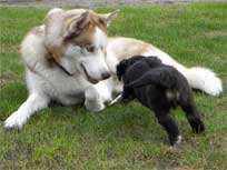 Osterwochenende 2010 Osterwochenende 2010