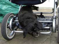 Osterwochenende 2010 Osterwochenende 2010