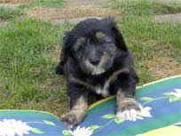 Osterwochenende 2010 Osterwochenende 2010