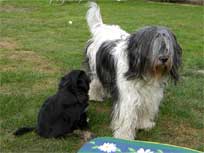 Osterwochenende 2010 Osterwochenende 2010