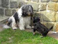 Osterwochenende 2010 Osterwochenende 2010