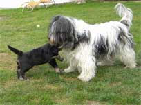 Osterwochenende 2010 Osterwochenende 2010