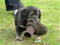 Osterwochenende 2010 Osterwochenende 2010