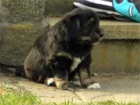 Osterwochenende 2010 Osterwochenende 2010