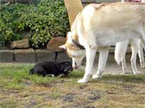 Osterwochenende 2010 Osterwochenende 2010