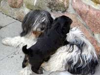 Osterwochenende 2010 Osterwochenende 2010