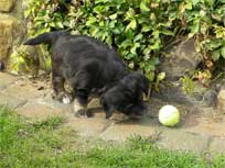 Osterwochenende 2010 Osterwochenende 2010