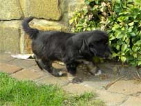 Osterwochenende 2010 Osterwochenende 2010