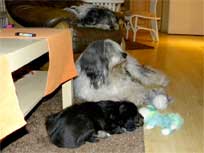 Osterwochenende 2010