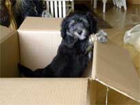 Osterwochenende 2010