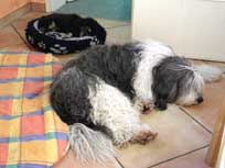 Osterwochenende 2010