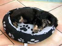 Osterwochenende 2010