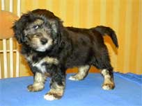 Osterwochenende 2010