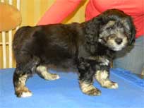 Osterwochenende 2010