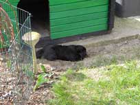 Osterwochenende 2010