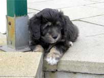 Osterwochenende 2010