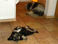 Osterwochenende 2010 Osterwochenende 2010