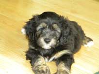 Osterwochenende 2010 Osterwochenende 2010