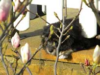 Osterwochenende 2010