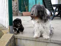 Osterwochenende 2010