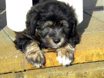 Osterwochenende 2010