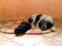 Osterwochenende 2010